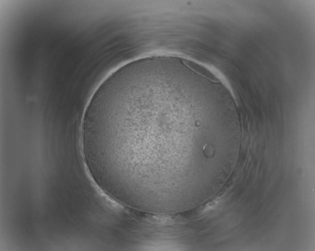 X0000074940911200609152001