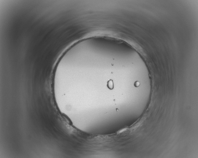 X0000074940912200609152001