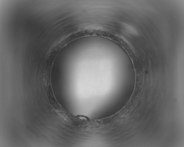 X0000074940919200609152000