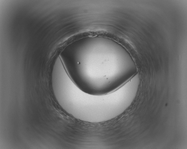 X0000074940920200609152001