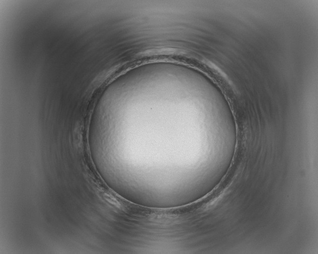 X0000074940921200609152001