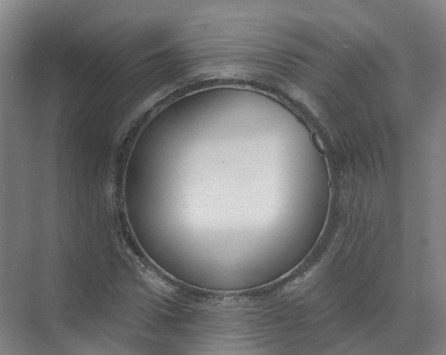 X0000074940922200609152001