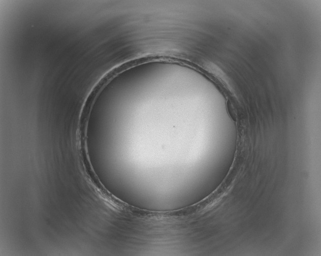 X0000074940924200609152001