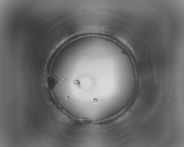 X0000074940925200609152001