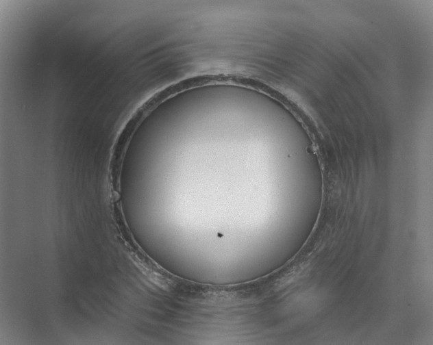 X0000074940927200609152001