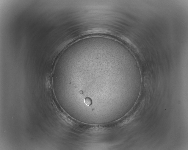 X0000074940929200609152001