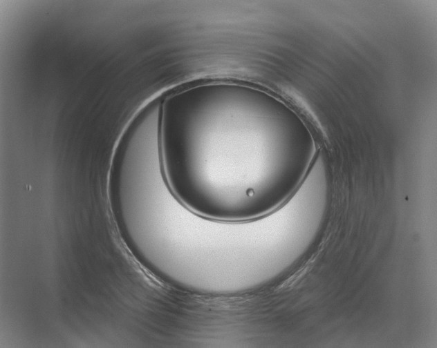 X0000074940932200609152001