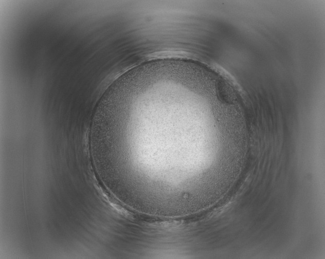 X0000074940937200609152001