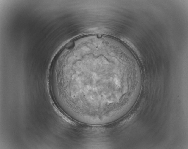 X0000074940941200609152001