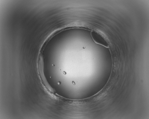 X0000074940942200609152001