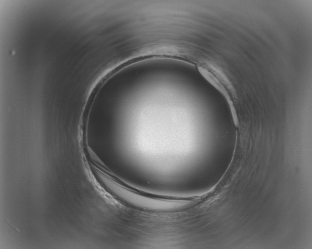 X0000074940944200609152001