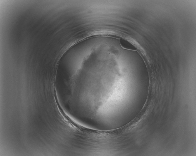 X0000074940945200609152001