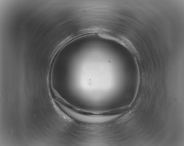 X0000074940946200609152001