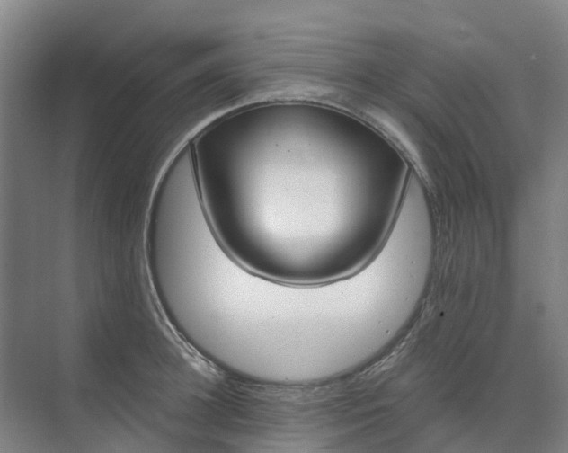 X0000074940948200609152001