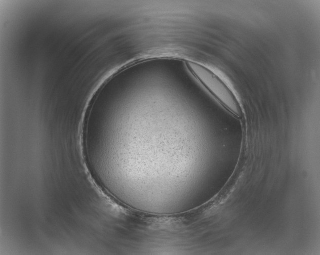 X0000074940949200609152001