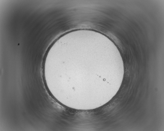 X0000074940950200609152001