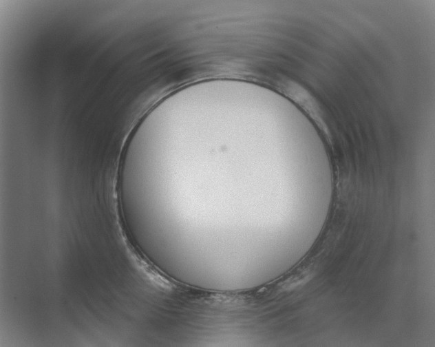 X0000074940954200609152001