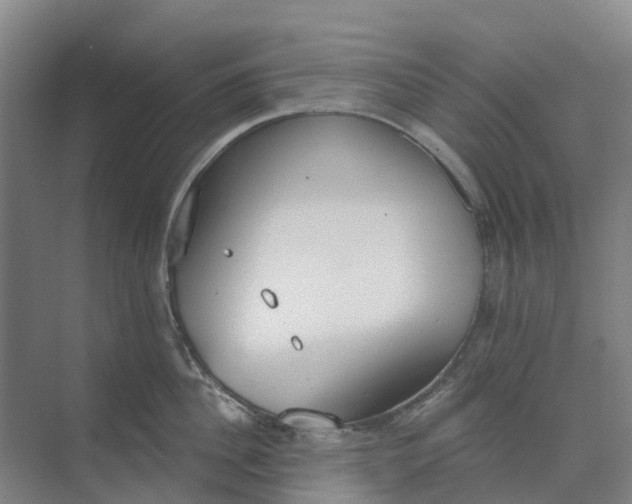 X0000074940956200609152001