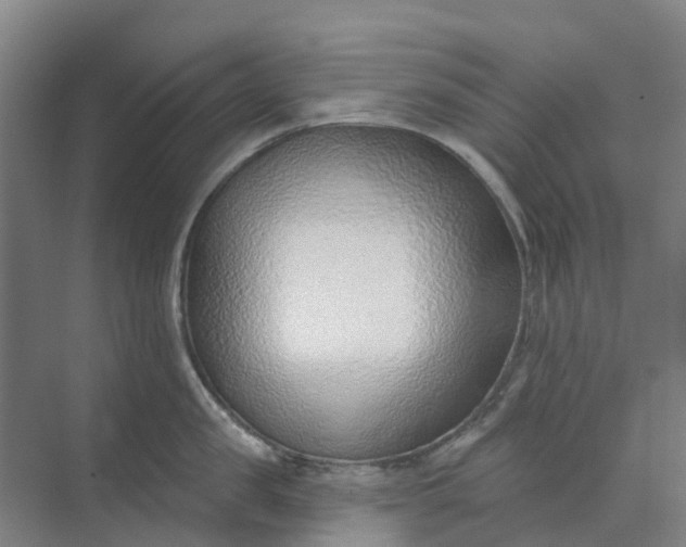 X0000074940957200609152001