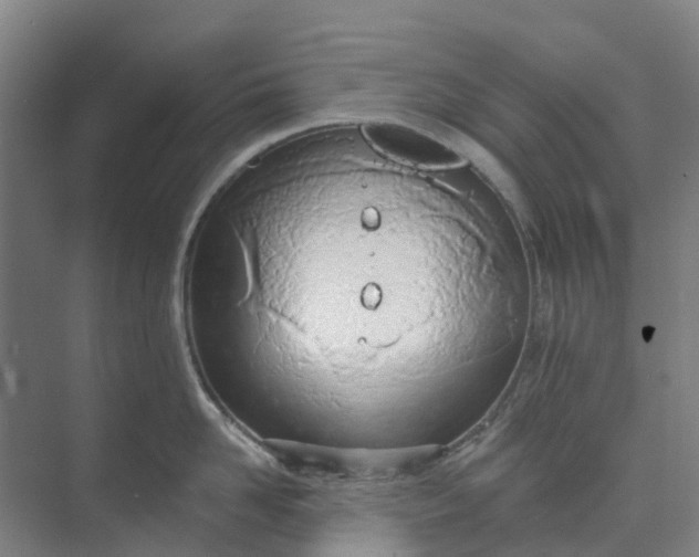 X0000074940958200609152001