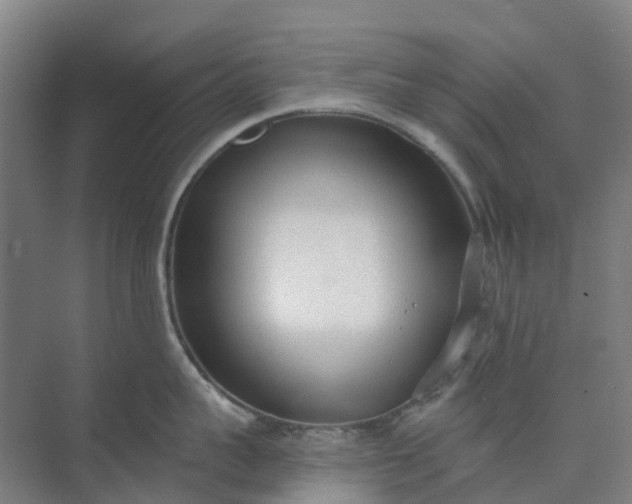 X0000074940959200609152001