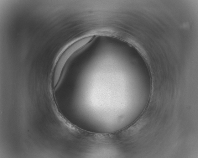 X0000074940960200609152001