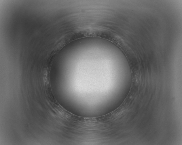 X0000074940964200609152000