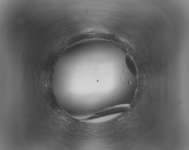 X0000074940965200609152000