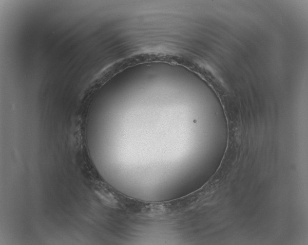 X0000074940968200609152000