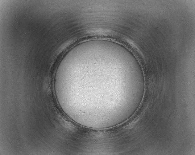 X0000074940970200609152000