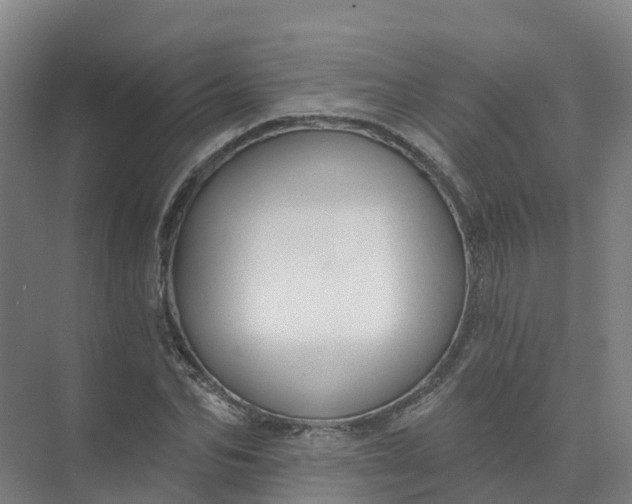 X0000074940974200609152000