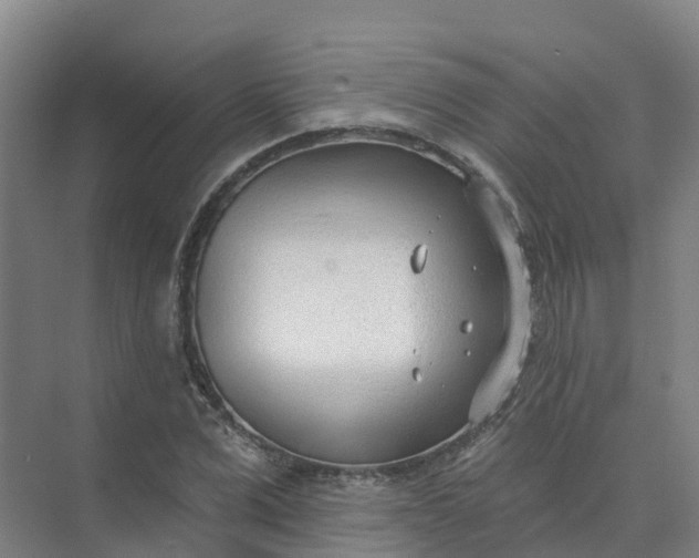 X0000074940975200609152000