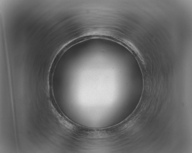 X0000074940980200609152000