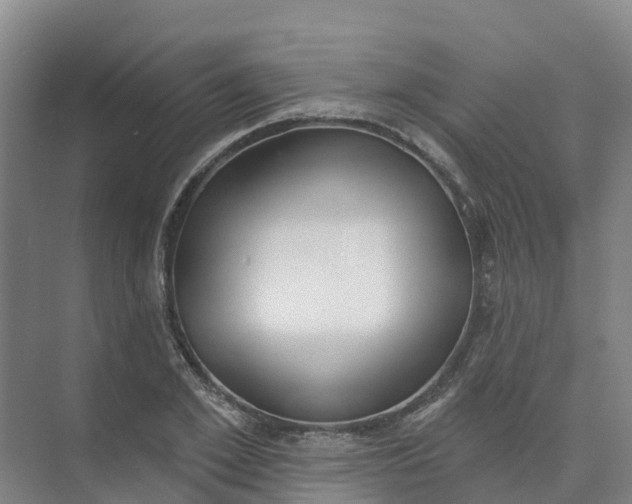 X0000074940981200609152000