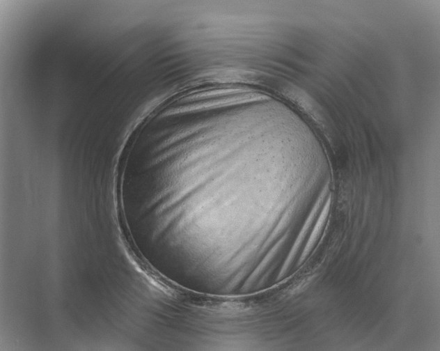 X0000074940986200609152000