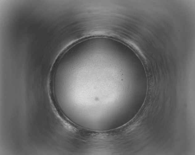 X0000074940991200609152000