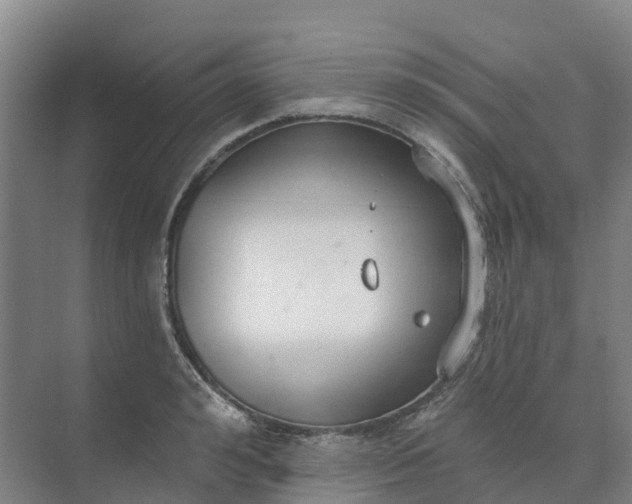 X0000074940992200609152000