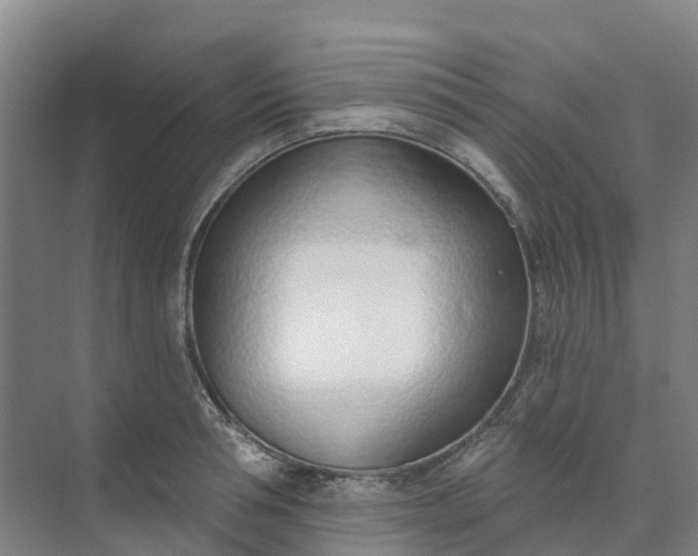 X0000074940994200609152000