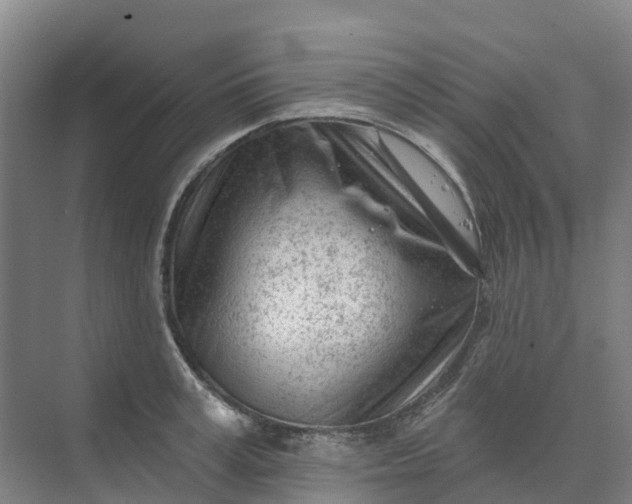 X0000074940995200609152000