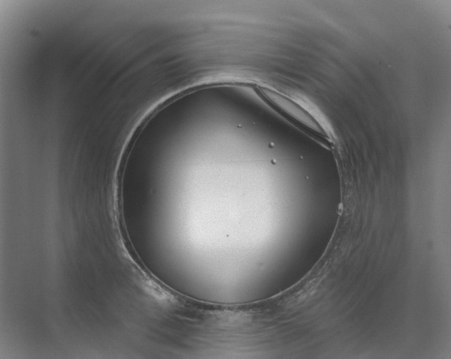 X0000074940996200609152000