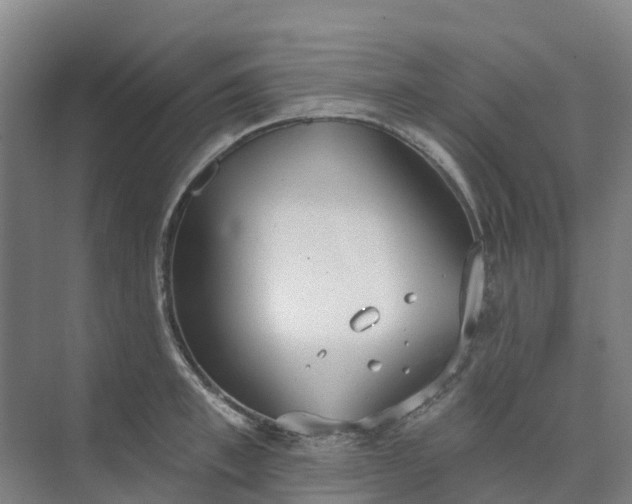 X0000074940997200609152000