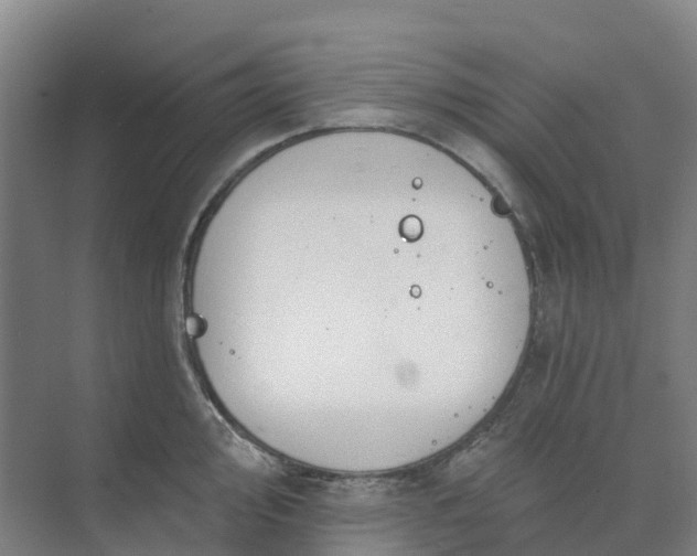 X0000074941000200609152000