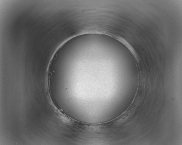 X0000074941004200609152000