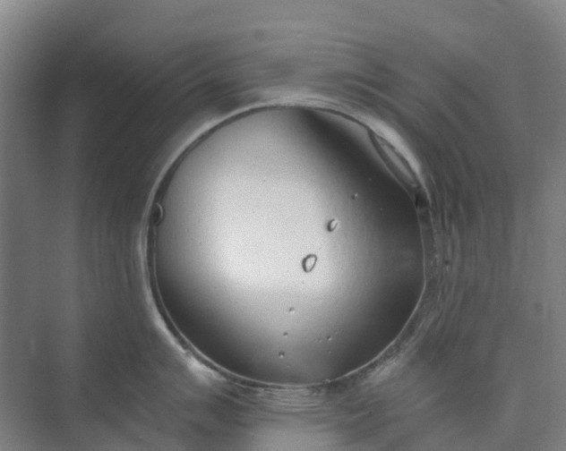 X0000074941007200609152000