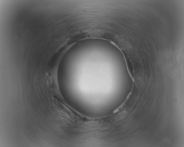 X0000074941010200609151959