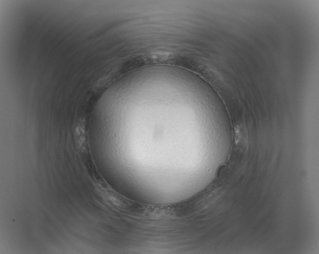 X0000074941011200609151959