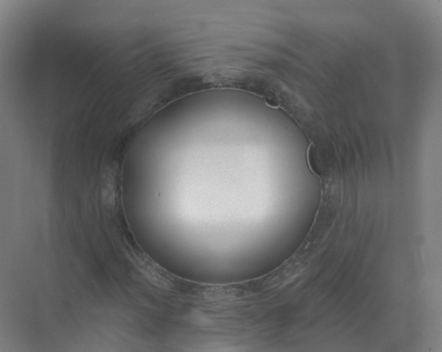 X0000074941012200609151959