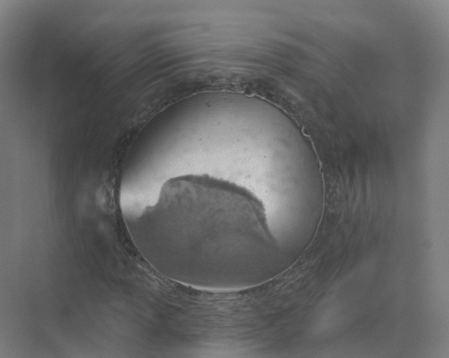 X0000074941013200609151959