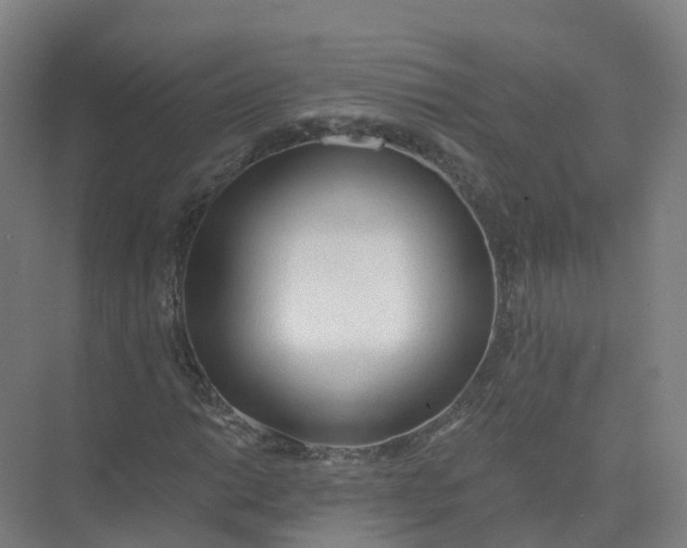 X0000074941014200609151959