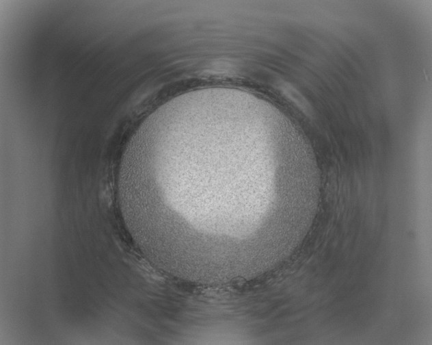 X0000074941015200609151959